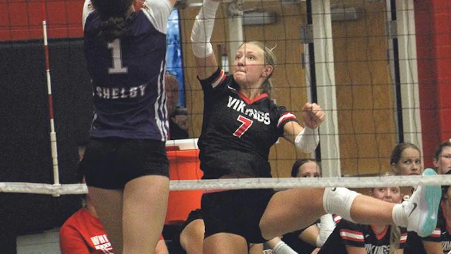 wh-shel vb 9.jpg