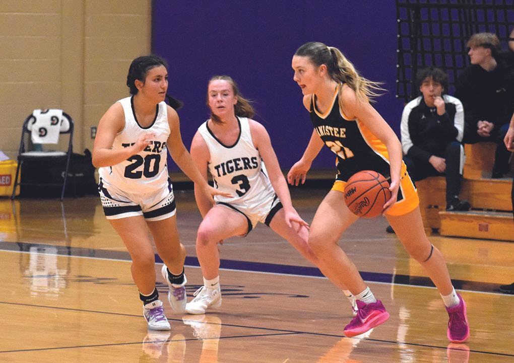 Gallery - Shelby vs. Manistee girls basketball