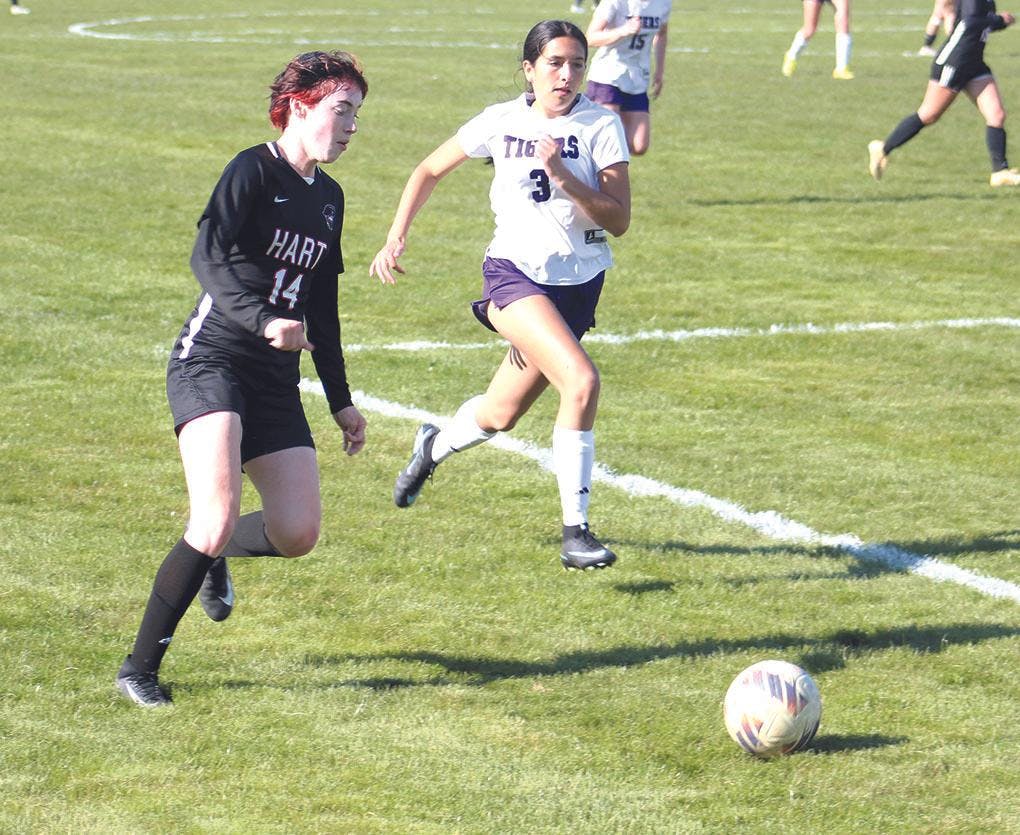 Gallery - Hart vs. Shelby girls soccer