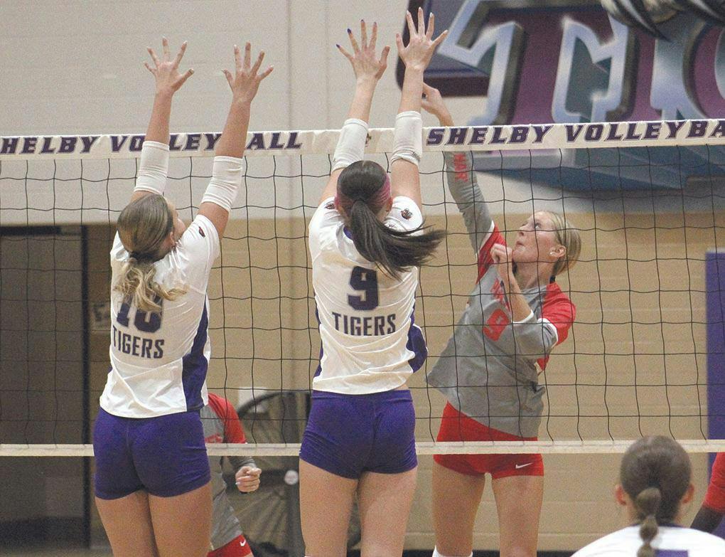 hart-shel vb 3.jpg
