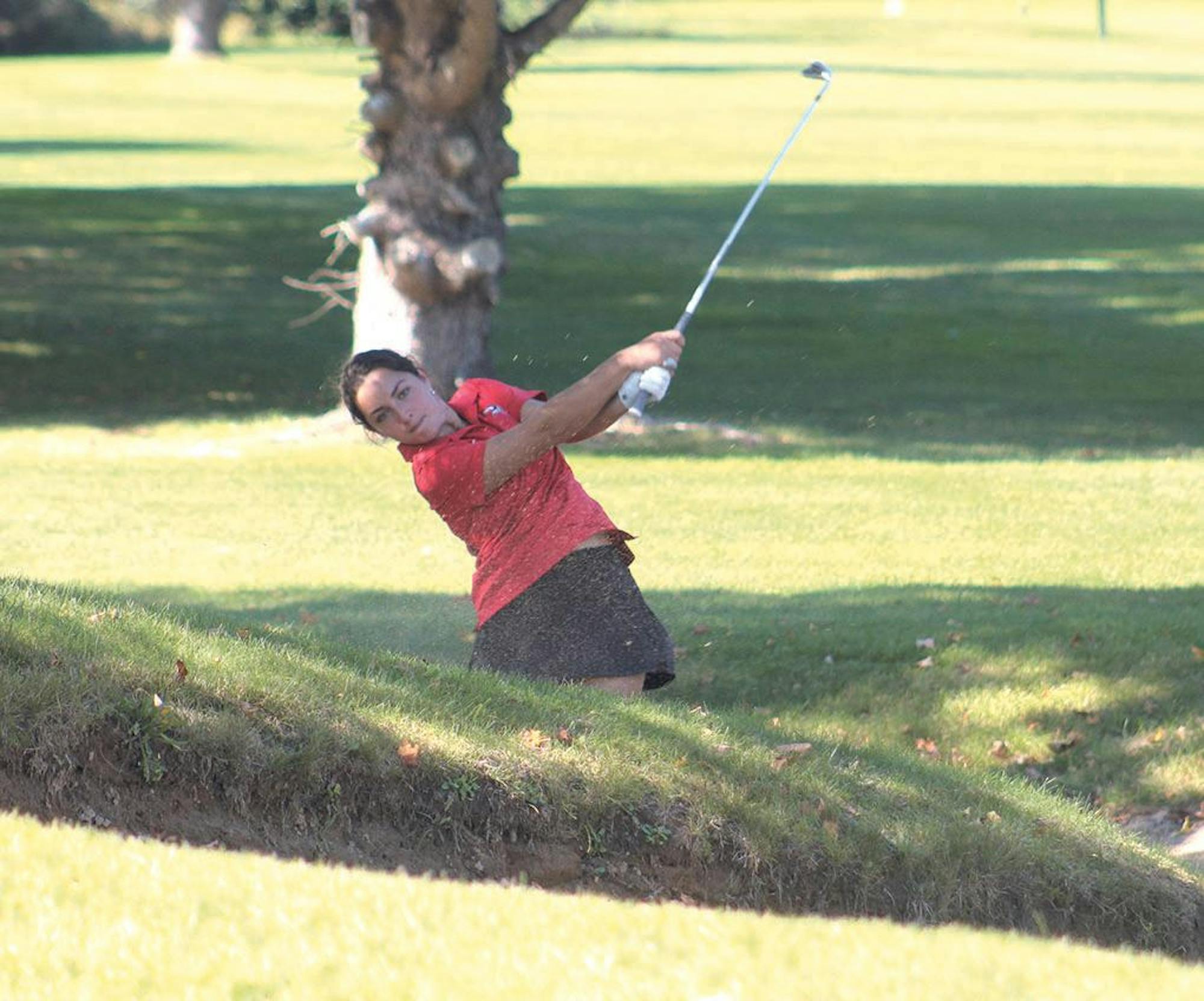 wh-mont golf 6.jpg