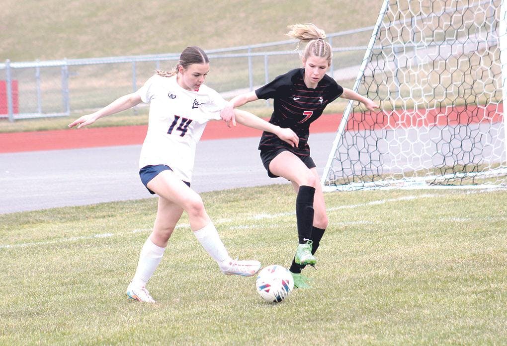 Gallery - Whitehall vs. Lakewood soccer