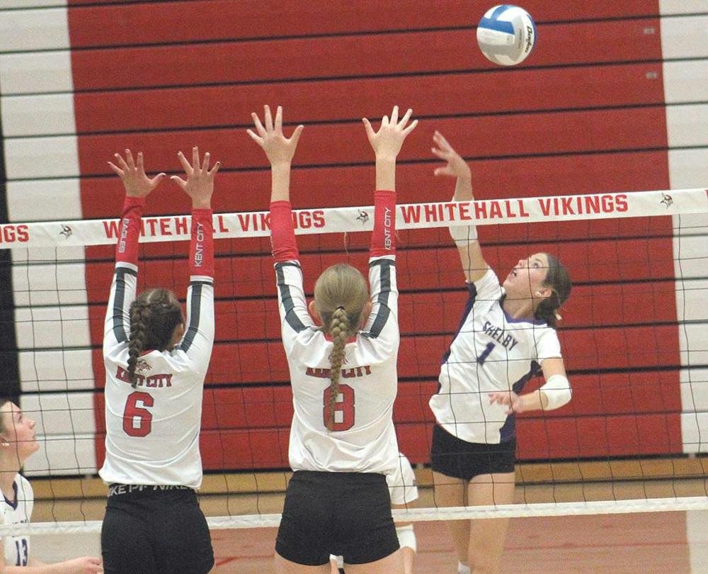 shel vb 2.jpg