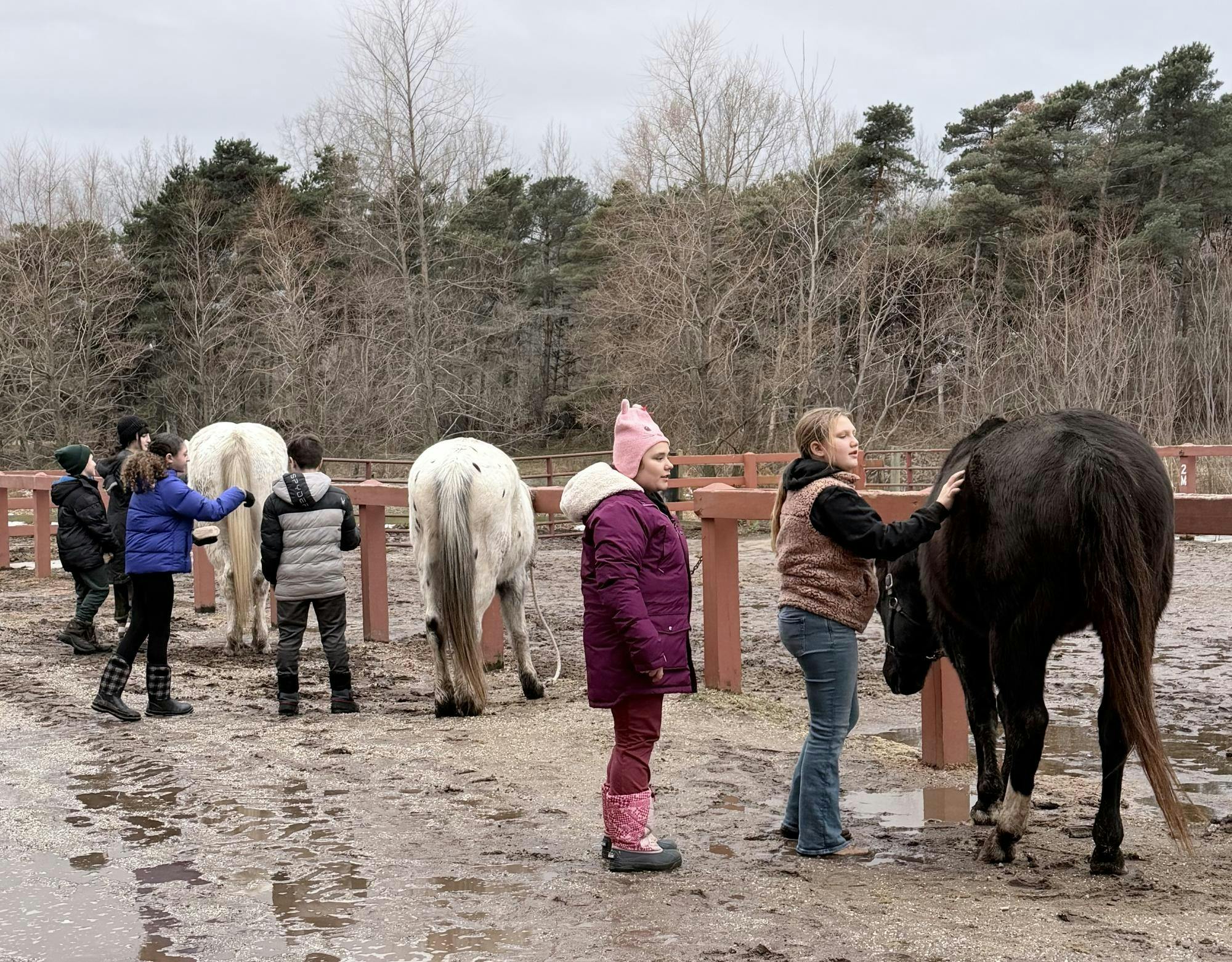 Paradise Grooming.jpeg