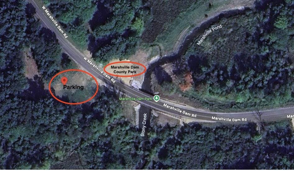 Screenshot 2025-08-21 at 12.48.18 PM copy.jpg