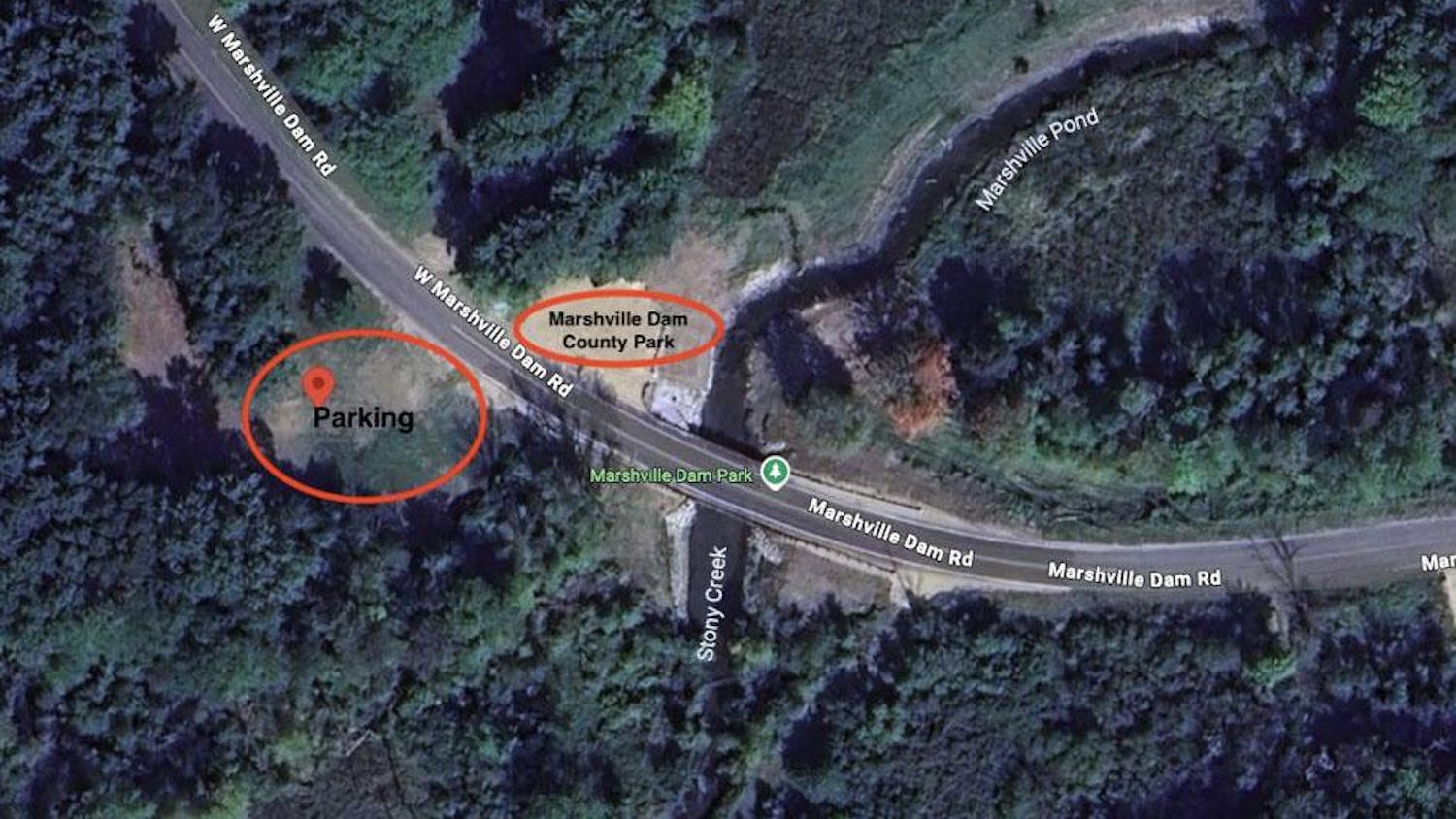 Screenshot 2025-08-21 at 12.48.18 PM copy.jpg