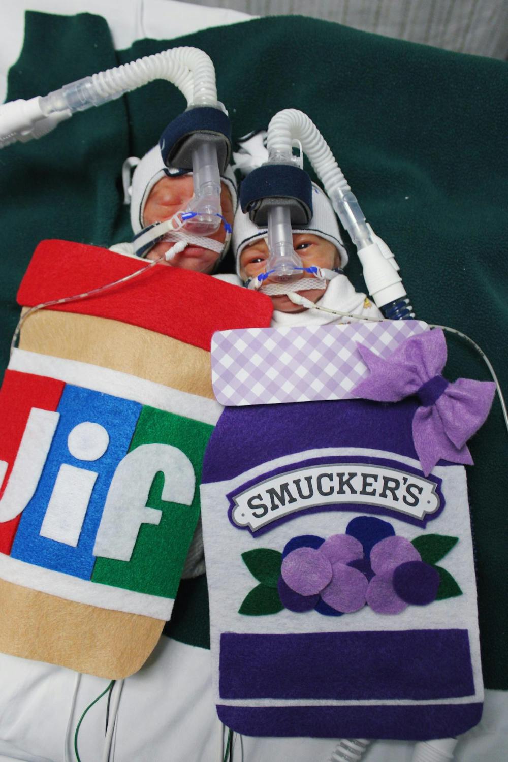 Peanut butter and jelly.jpeg