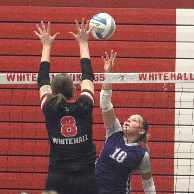 wh-shel vb 11.jpg