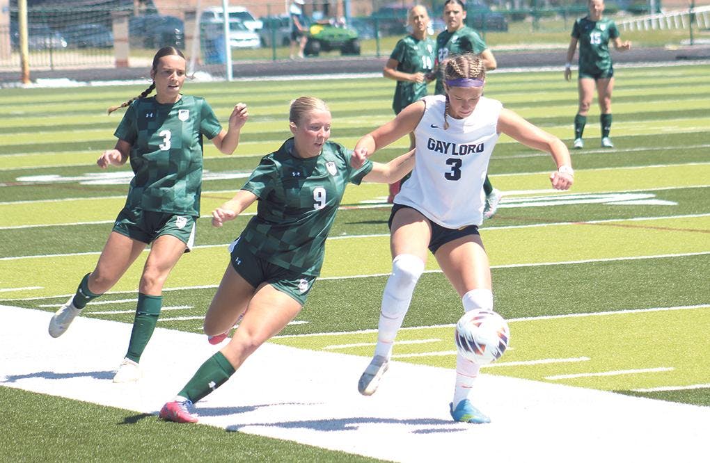 Gallery - Reeths-Puffer vs. Gaylord regional soccer
