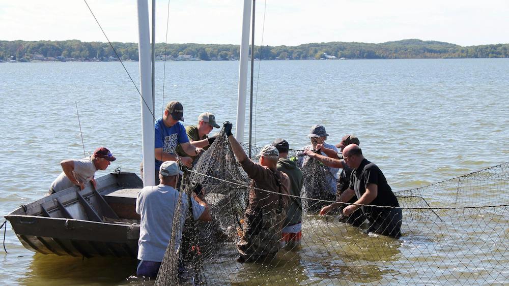 Carp Cull_05.jpg