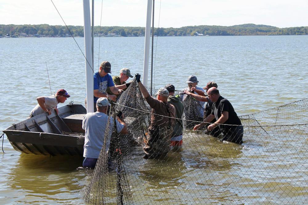 Carp Cull_05.jpg