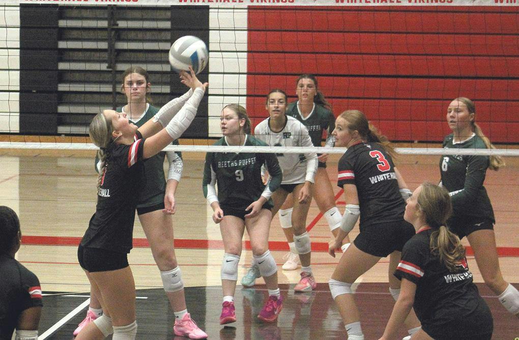 Gallery - Whitehall, Reeths-Puffer volleyball at Whitehall Invitational