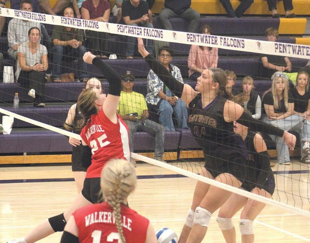 pent-walk vb 8.jpg