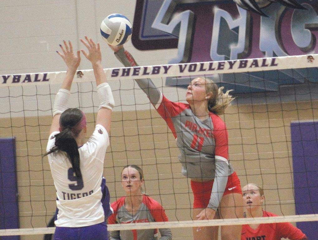 hart-shel vb 6.jpg