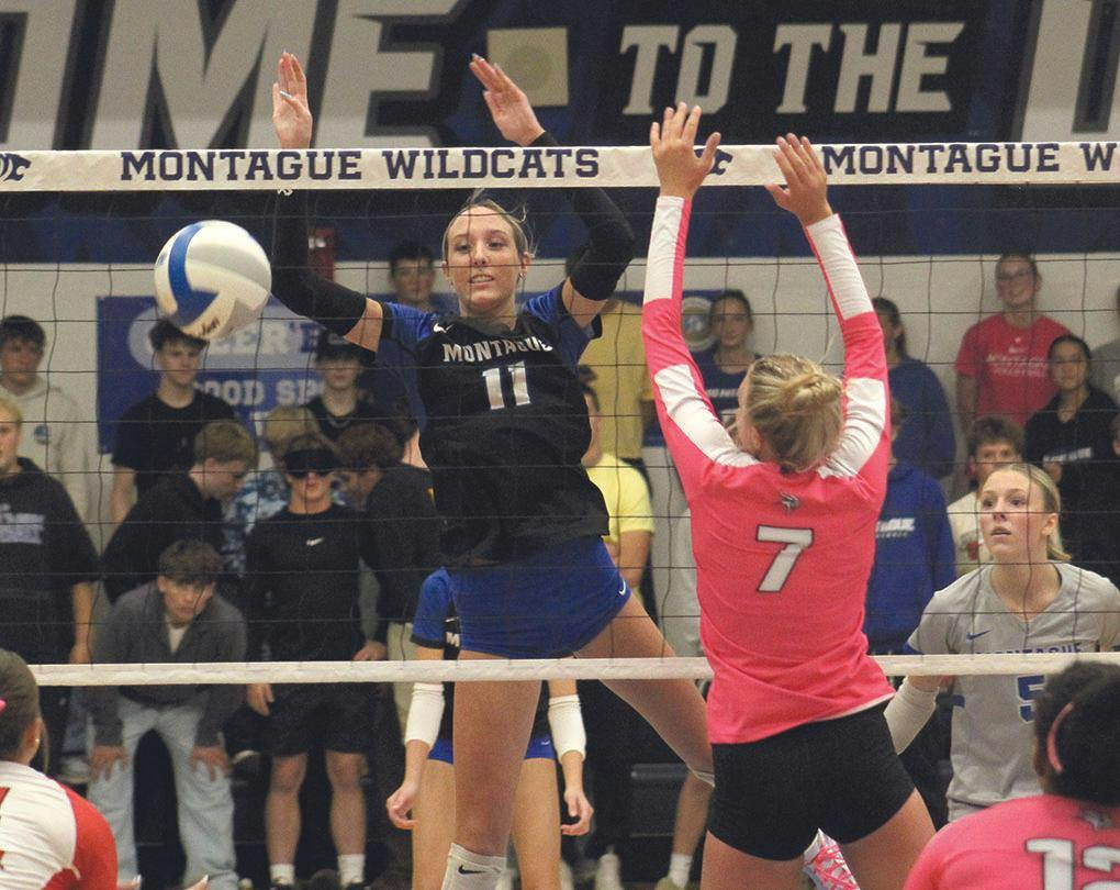 wh-mont vb 2.jpg
