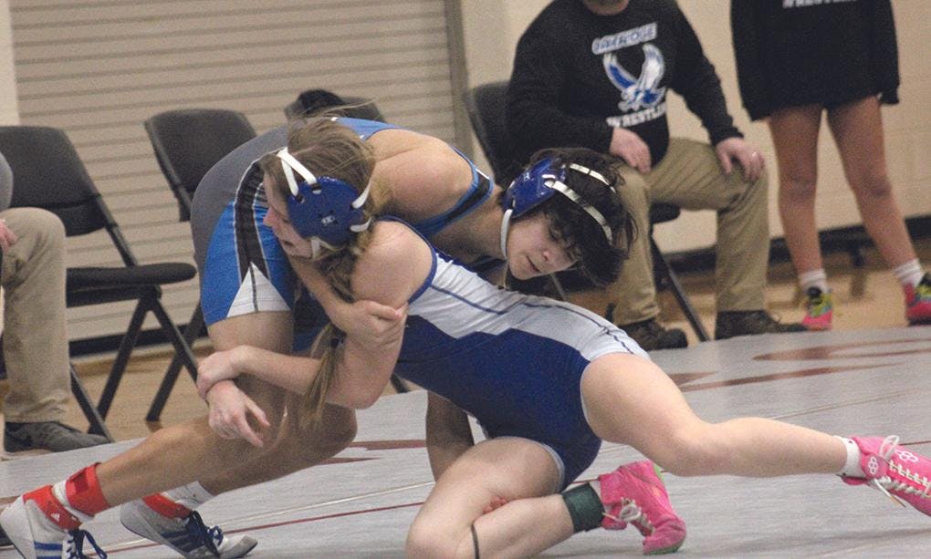 Gallery - Whitehall and Montague wrestling districts at Orchard View