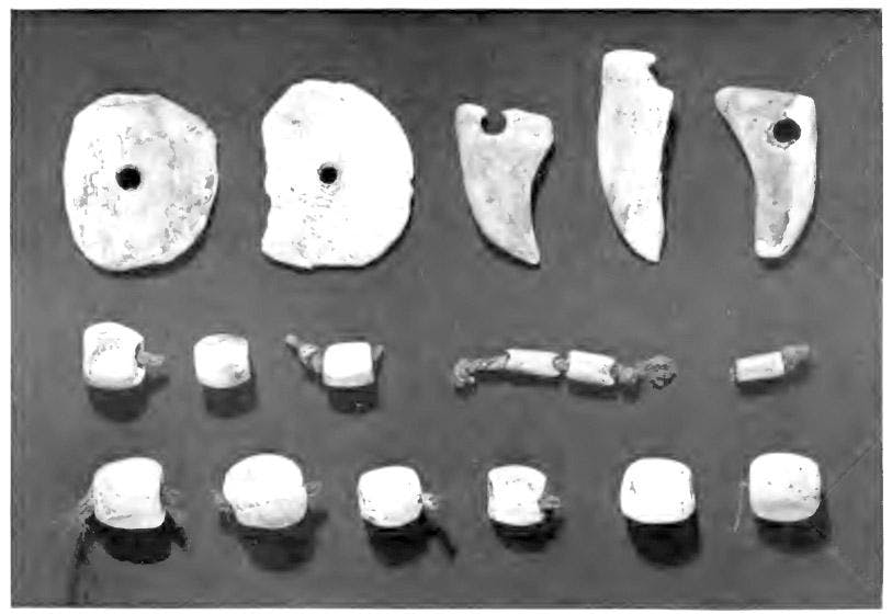 Dumaw_Creek_-_shell_beads (1).jpg