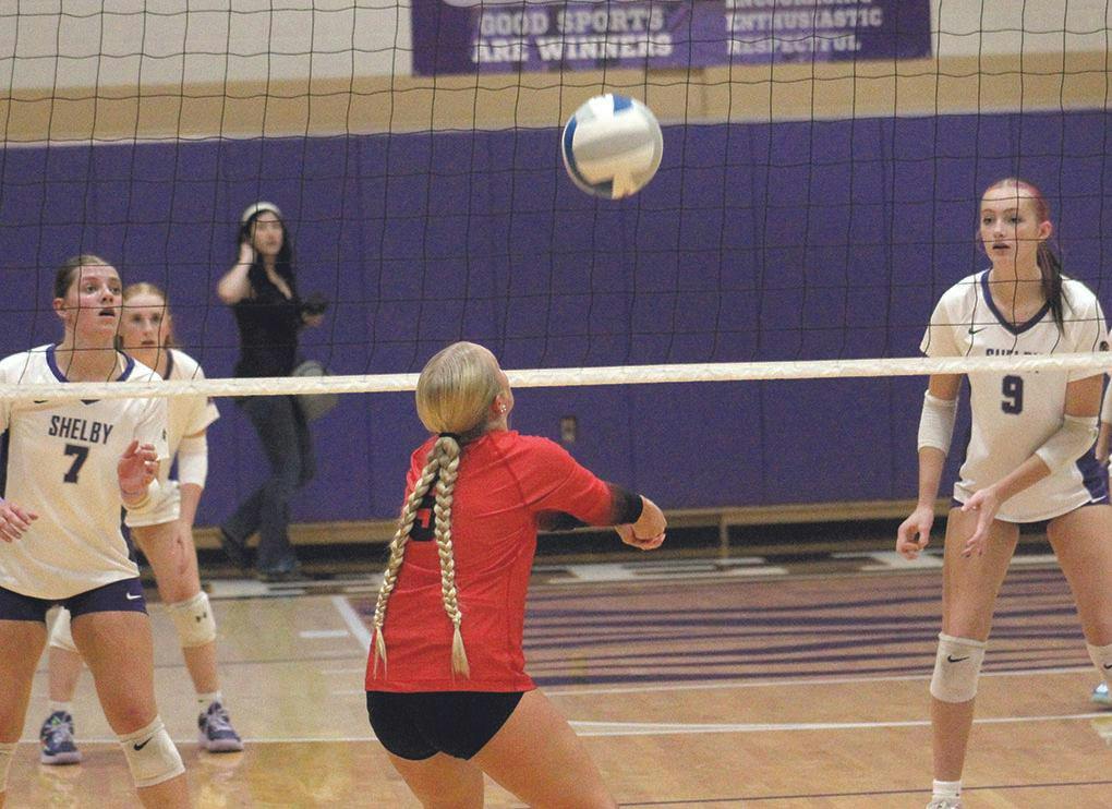hart-shel vb 8.jpg