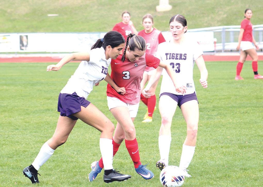 Gallery - Shelby vs. Whitehall girls soccer