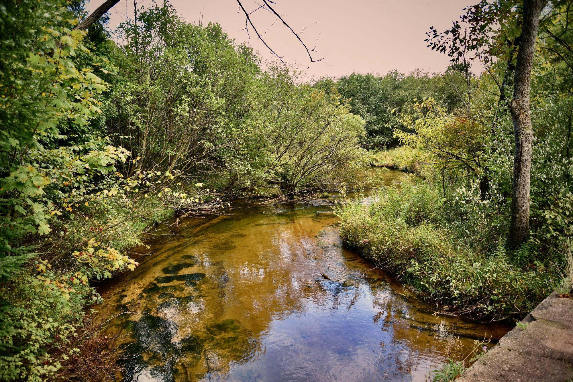 11) Stony Creek today.jpg