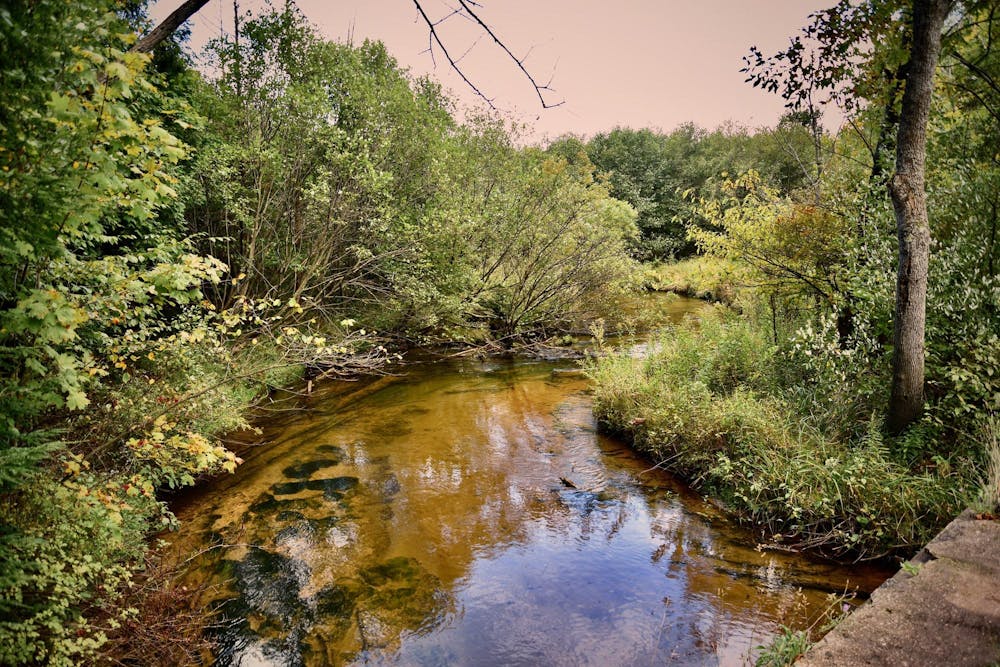 11) Stony Creek today.jpg