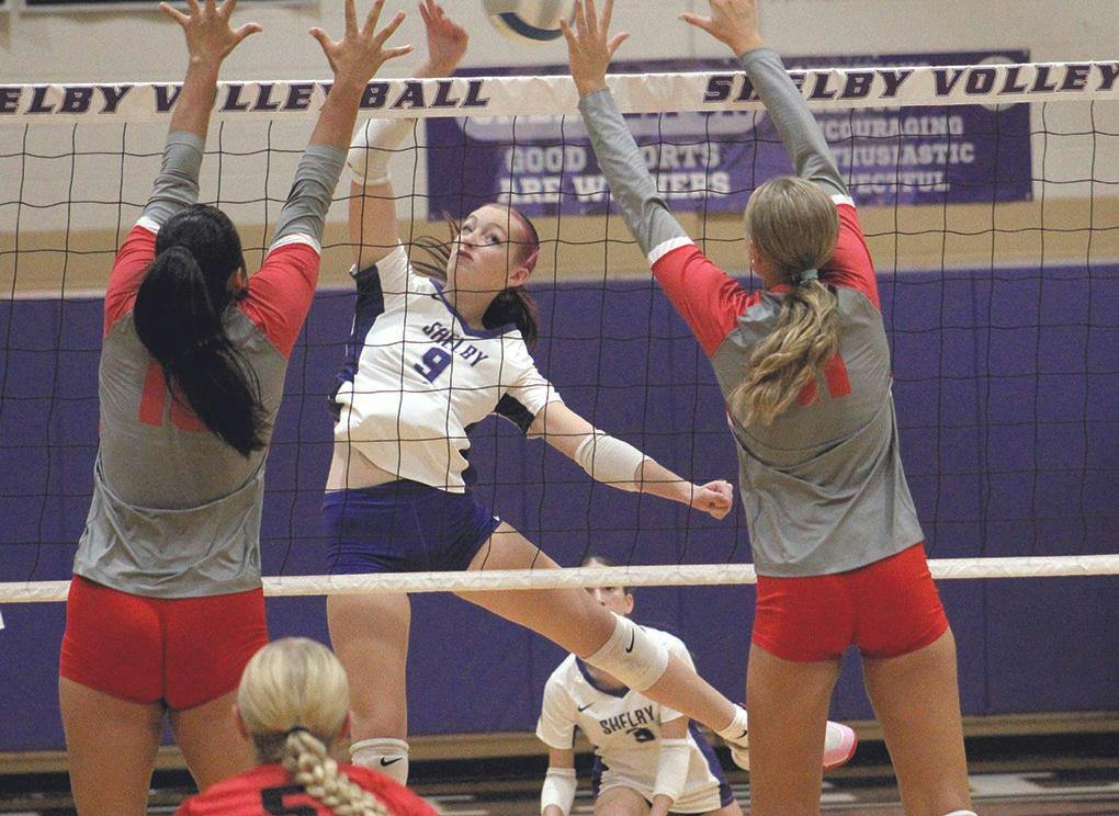 hart-shel vb 10.jpg