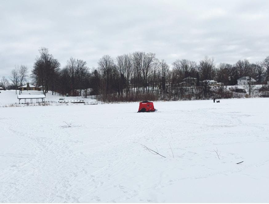 Screenshot 2026-02-05 at 11.11.25 AM copy.jpg