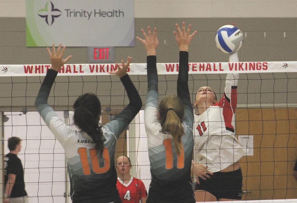 Gallery: Whitehall vs. Ludington volleyball