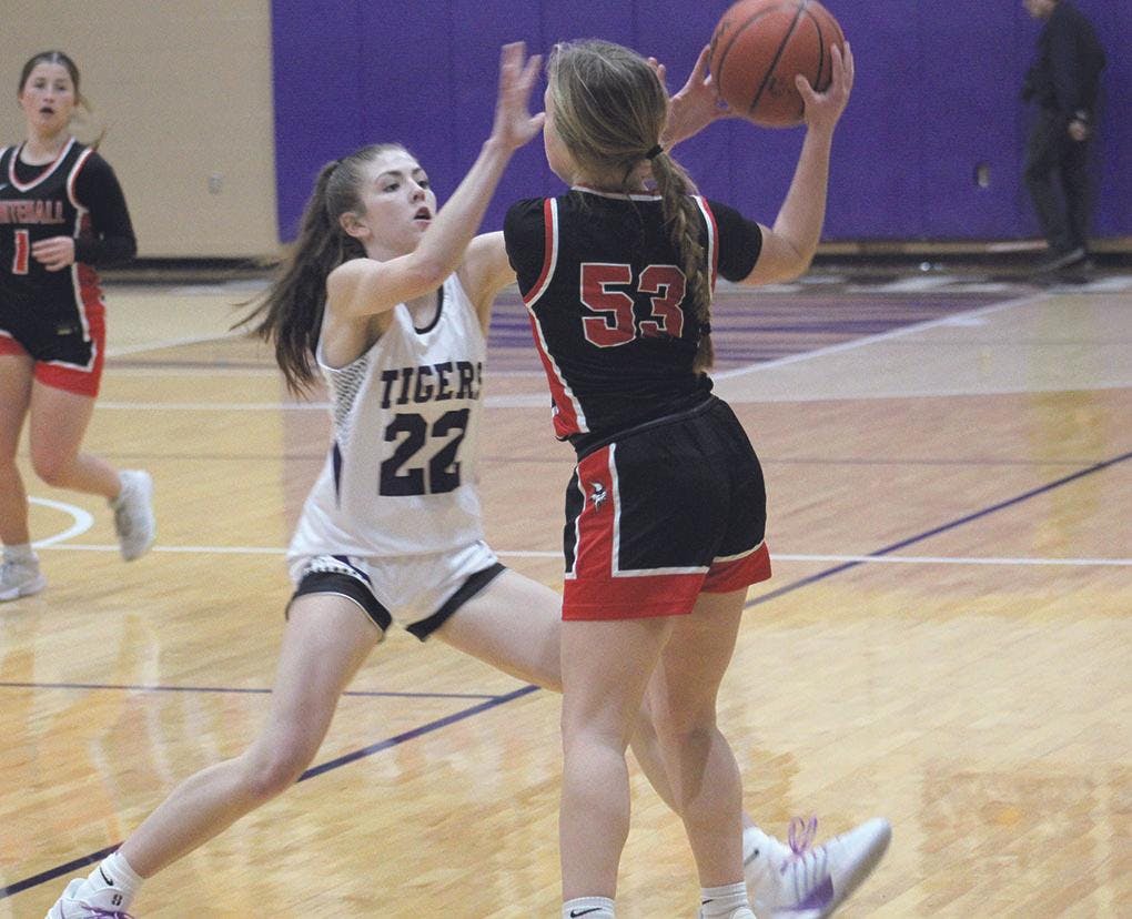 Gallery - Shelby vs. Whitehall girls basketball