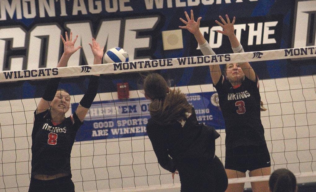 Gallery - Whitehall vs. Spring Lake district volleyball