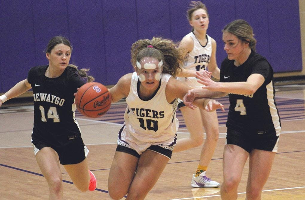 Gallery - Shelby vs. Newaygo girls basketball