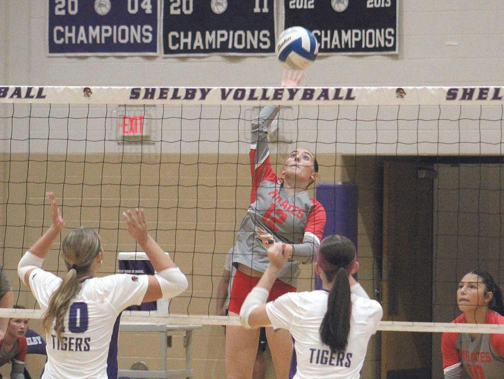 hart-shel vb 4.jpg