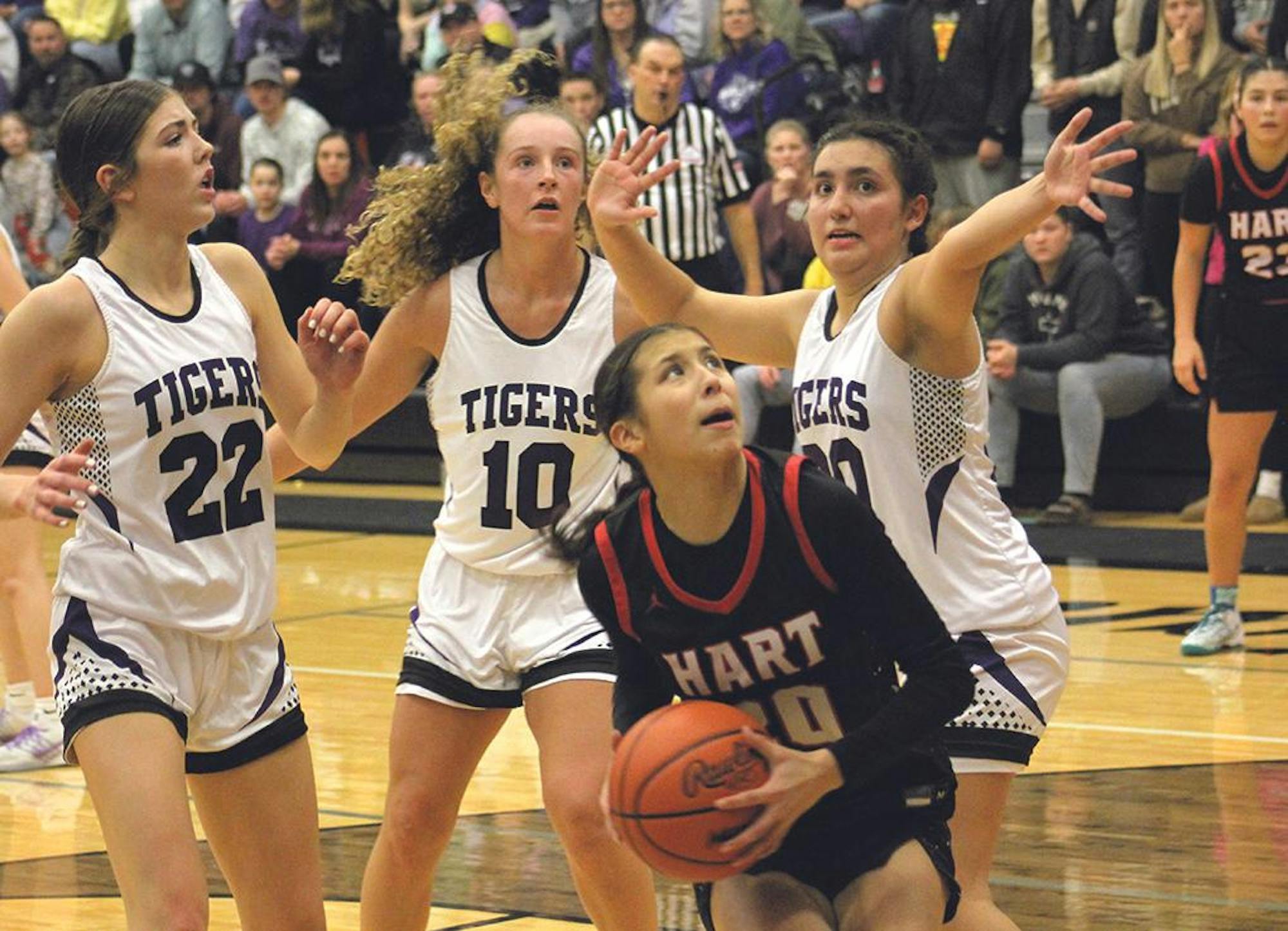 hart-shel gbb 12.jpg