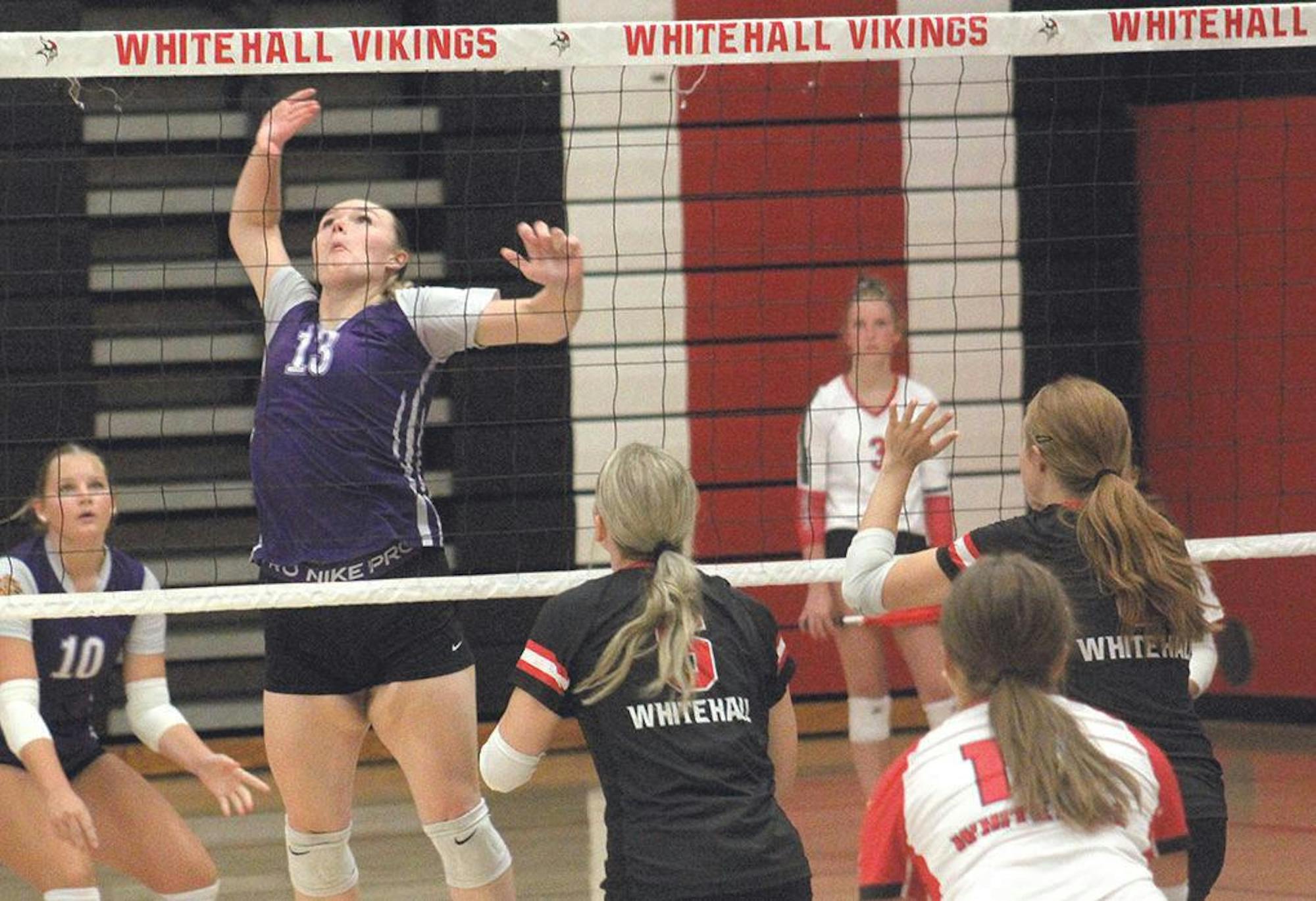 wh-shel vb 7.jpg