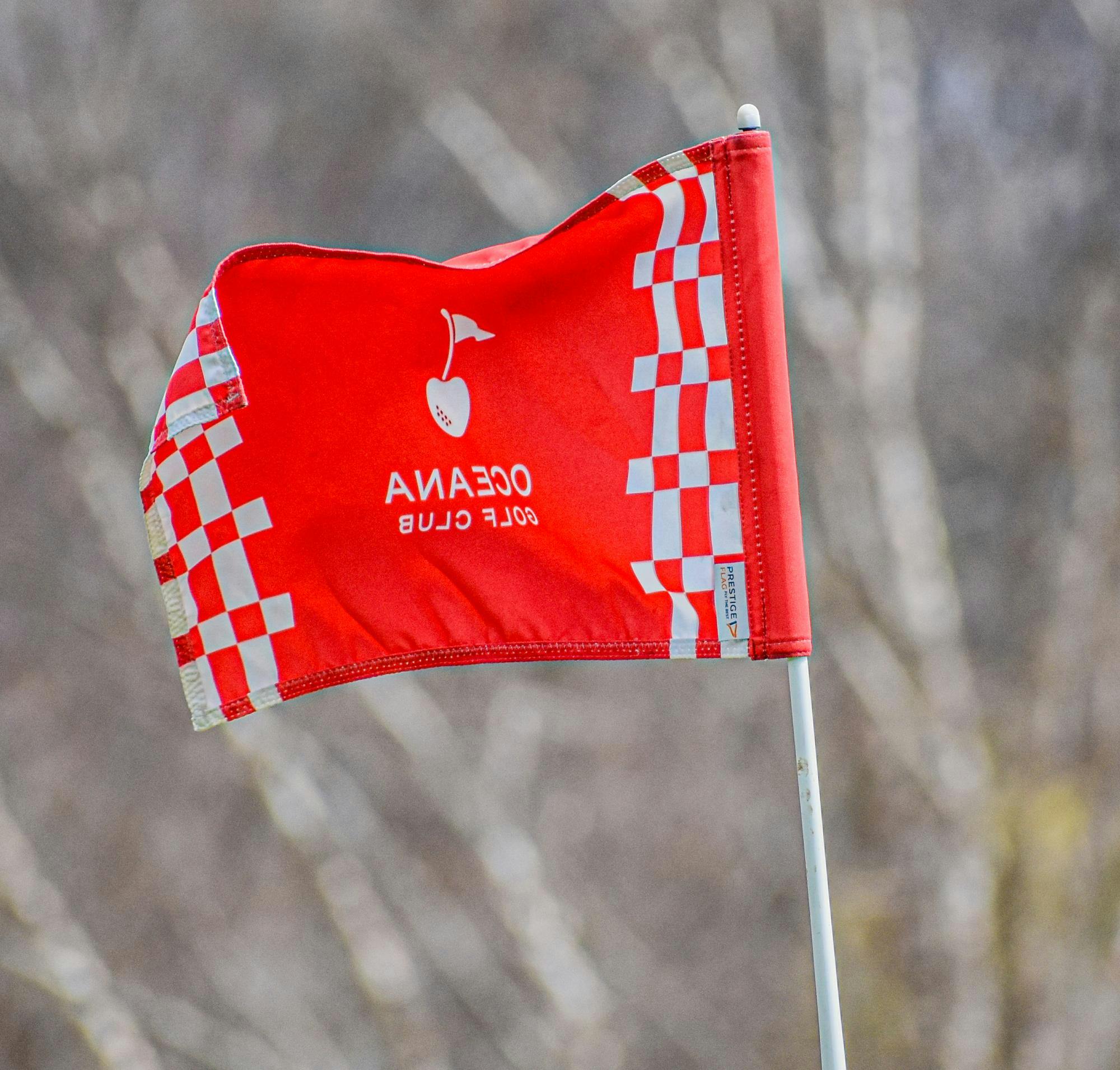 Hart, Hesperia, Pentwater and Shelby Golf @ Shelby Invitational