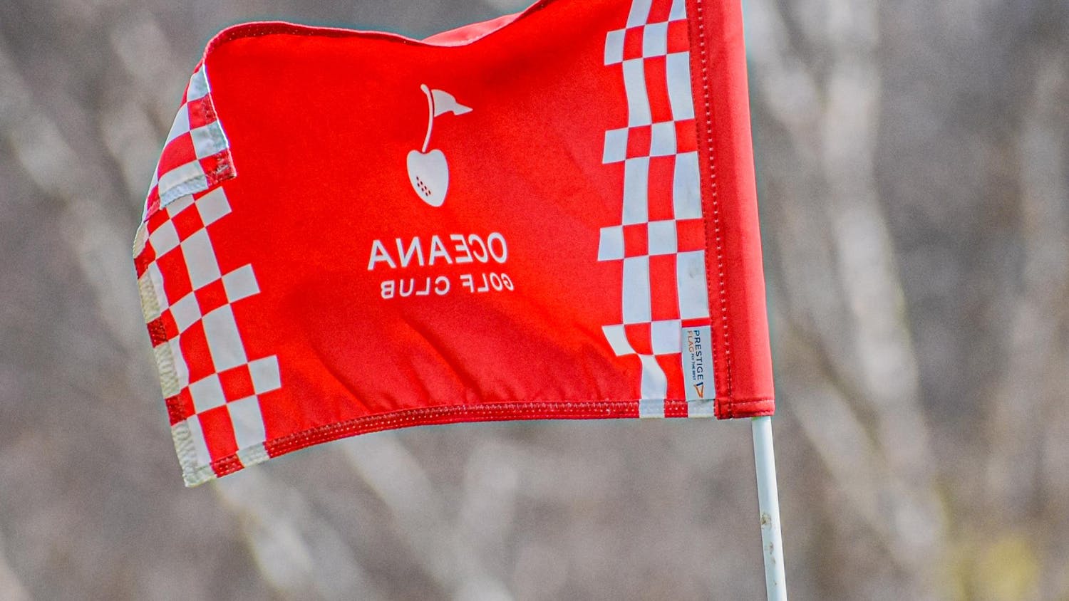 Hart, Hesperia, Pentwater and Shelby Golf @ Shelby Invitational