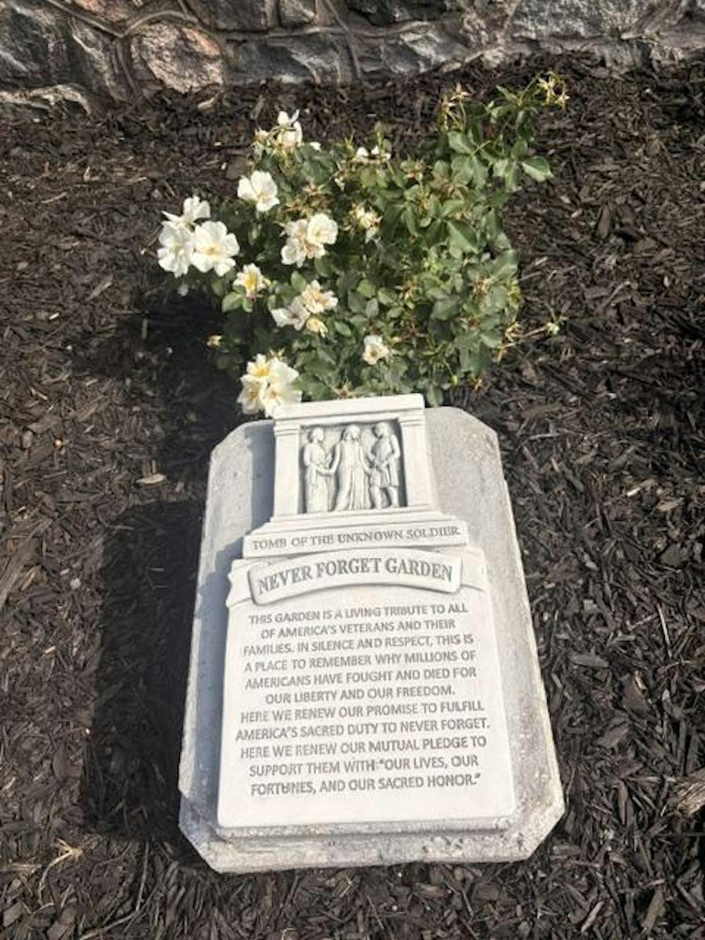 image5 (9).jpeg