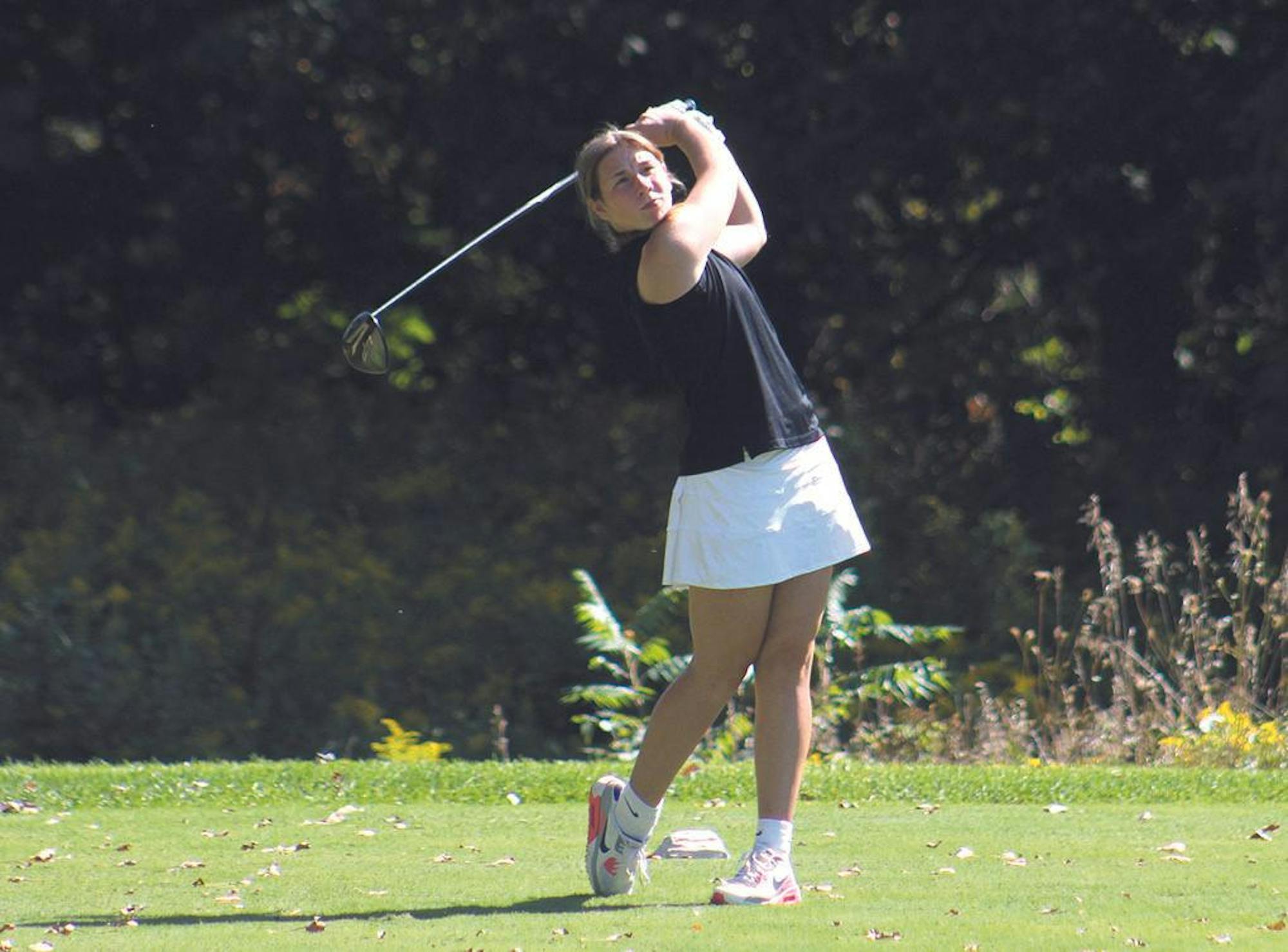 wl wmc golf 3.jpg