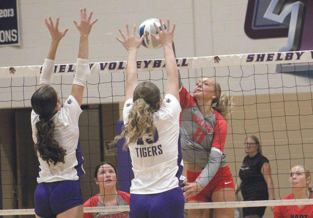 hart-shel vb 1.jpg