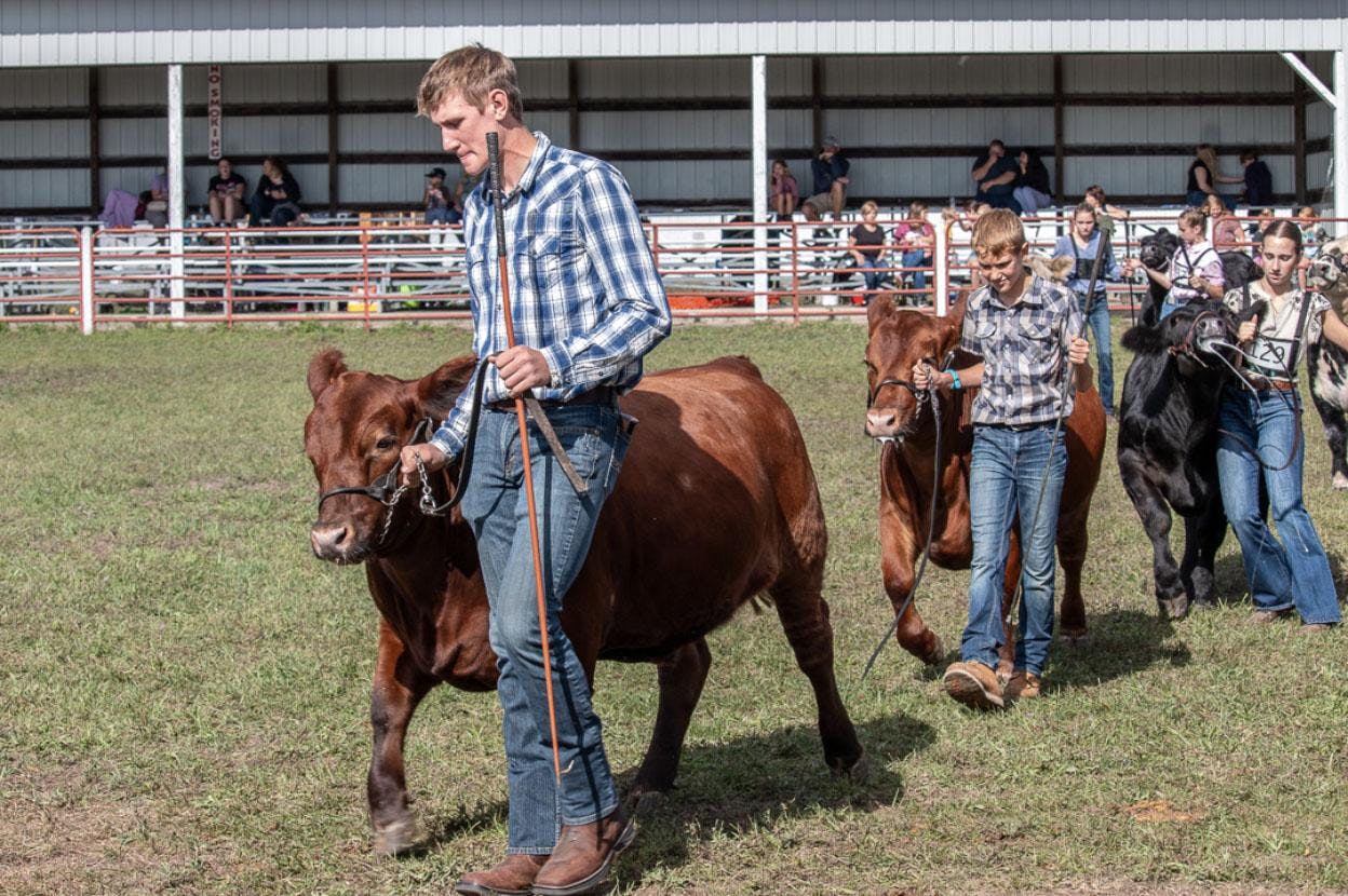 Screenshot 2025-08-28 at 1.13.08 PM copy.jpg