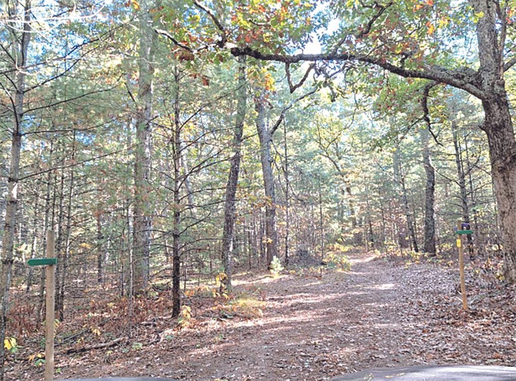 blue lake volunteers.jpg