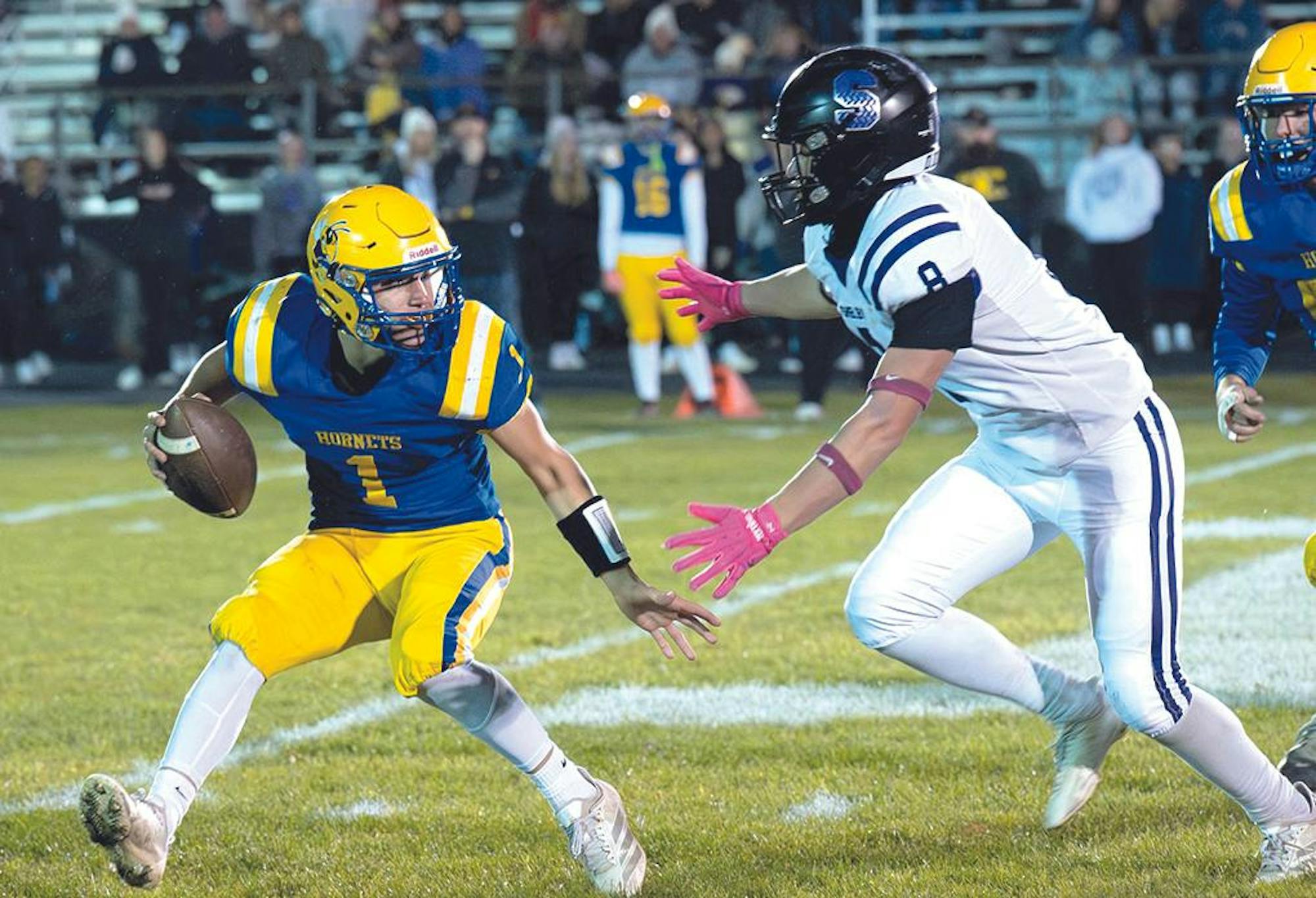 shel dist final fb 4.jpg