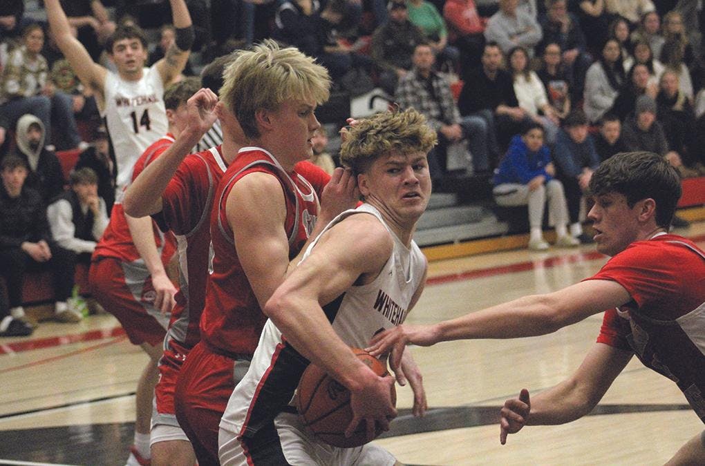 Gallery - Whitehall vs. Spring Lake district boys basketball