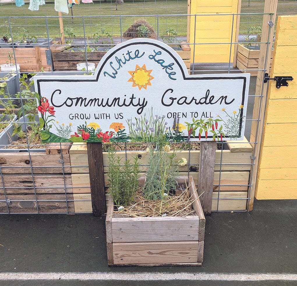community garden 1.jpg