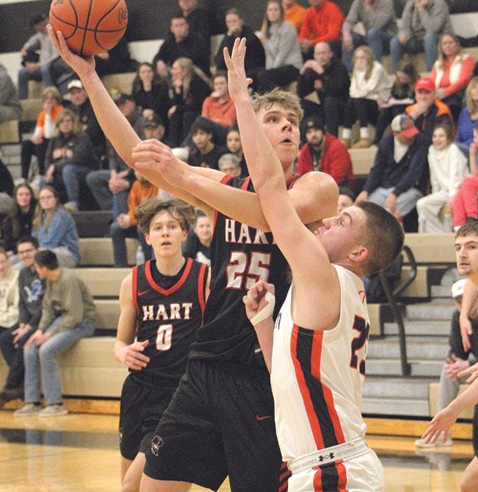 Hart BB vs. Ludington (District Finals)
