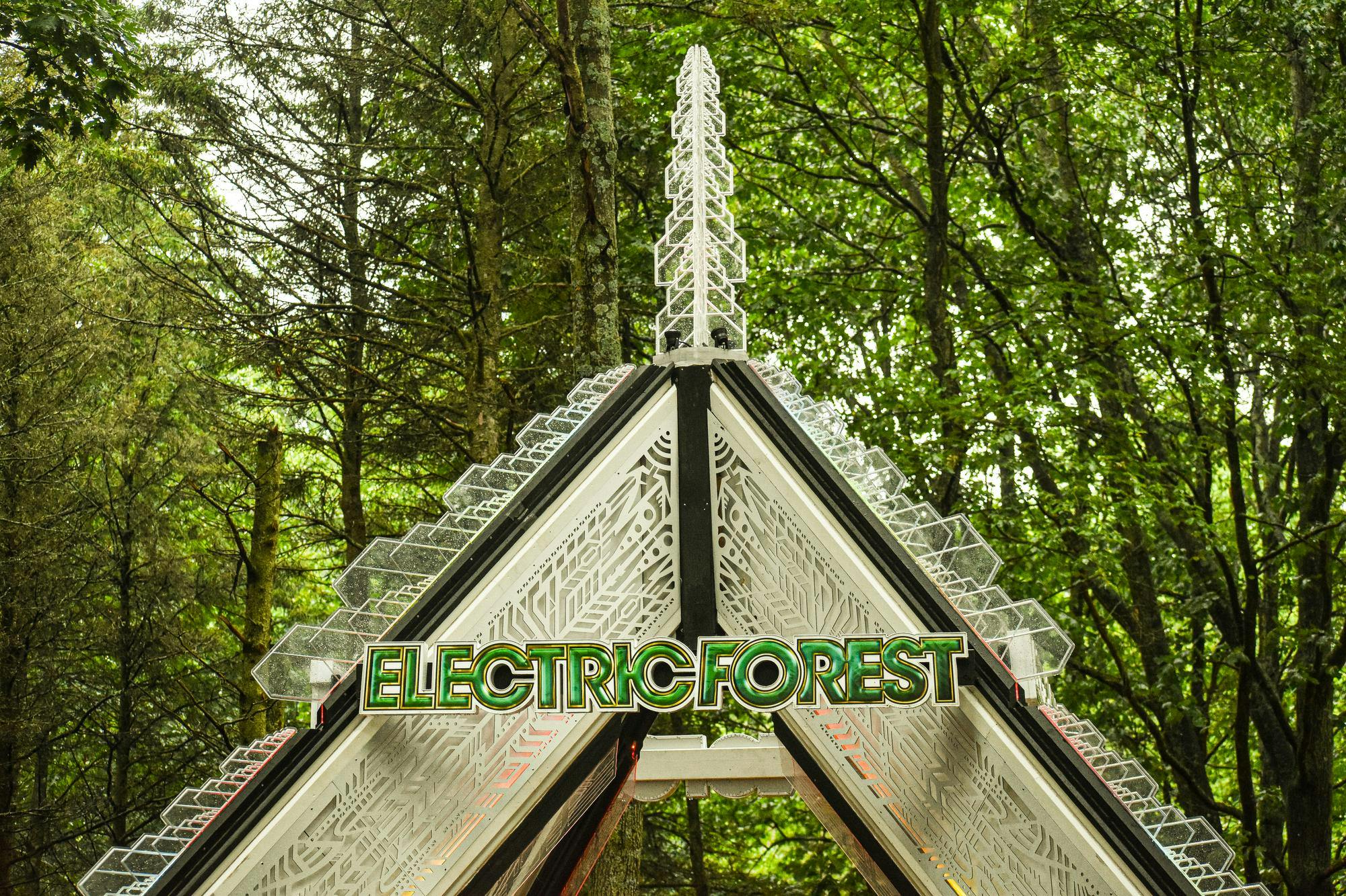 Electric Forest 8.jpg