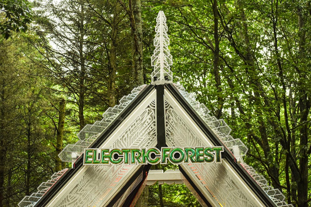 Electric Forest 8.jpg