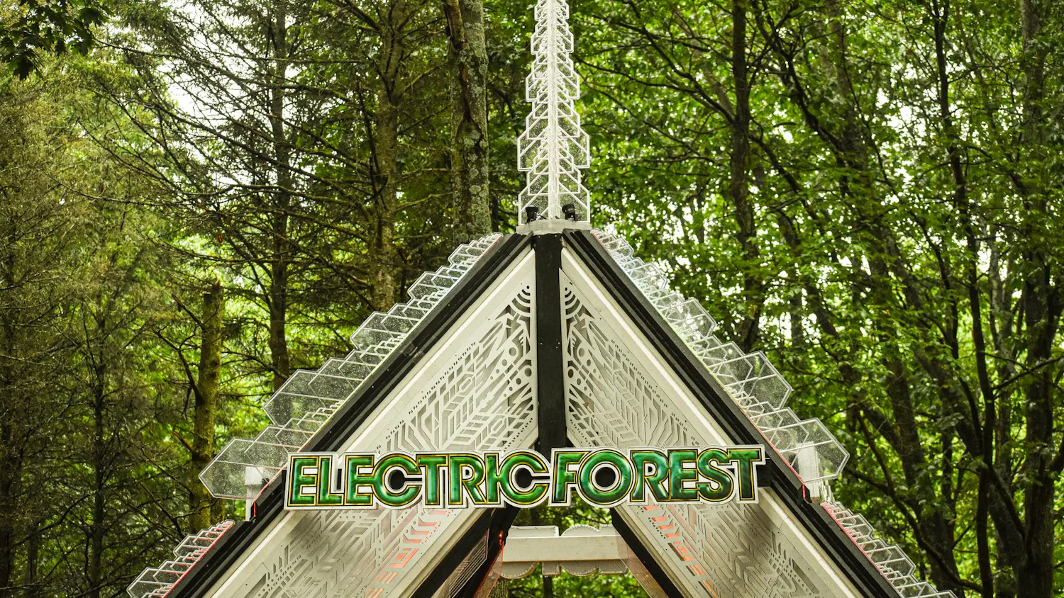 Electric Forest 8.jpg
