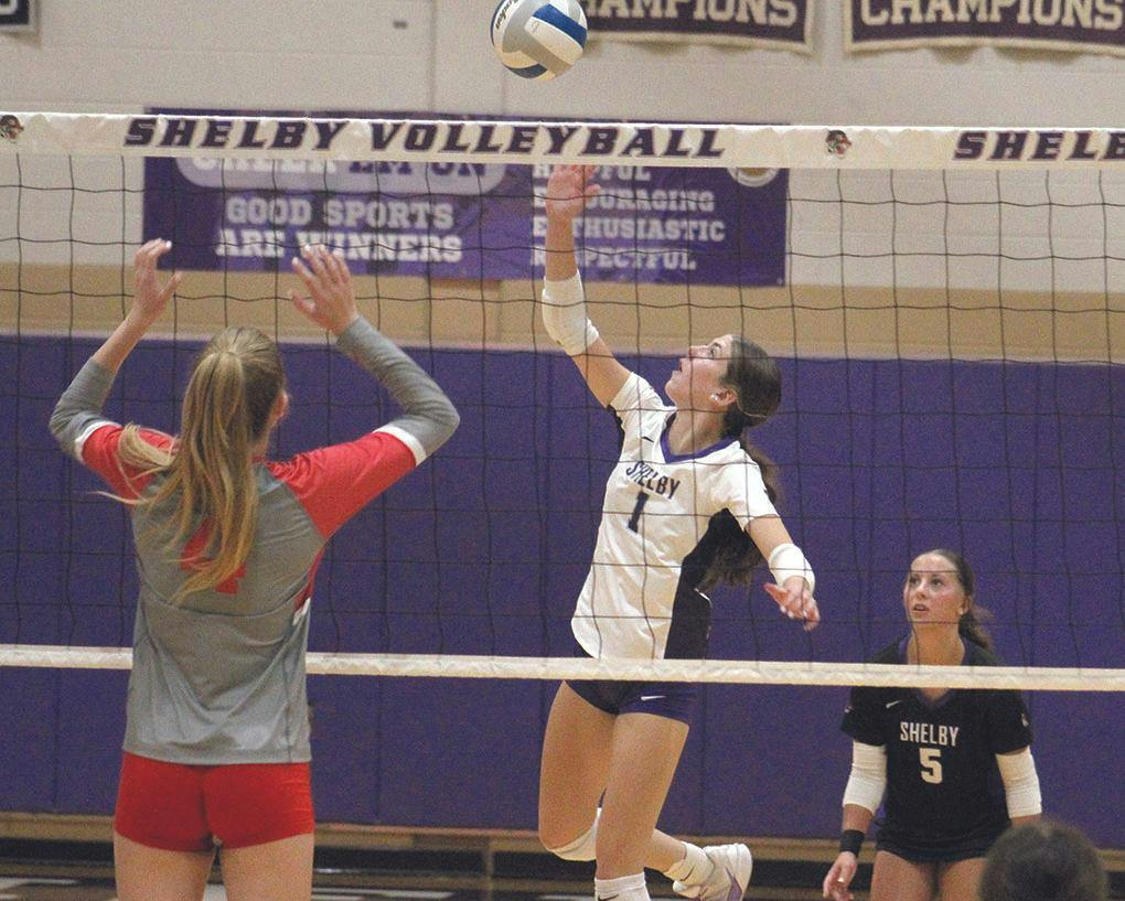 hart-shel vb 11.jpg