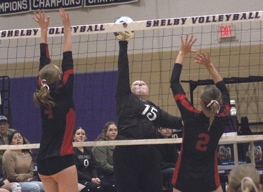 Gallery - Hesperia vs. Holton district volleyball
